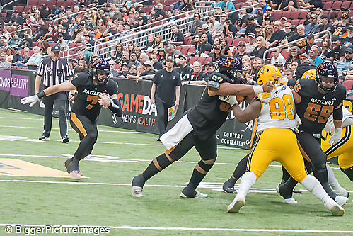 IMG_4247-denoise-denoise_1777329142_69efe3f68f31e