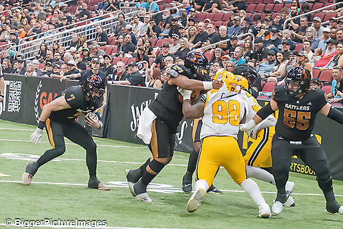 IMG_4249-denoise-denoise_1777329144_69efe3f82fbbf