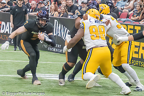 IMG_4251-denoise-denoise_1777329146_69efe3fa15fa2