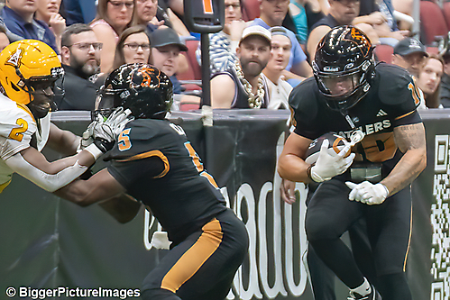 IMG_4314-denoise-denoise_1777329180_69efe41cdcd19