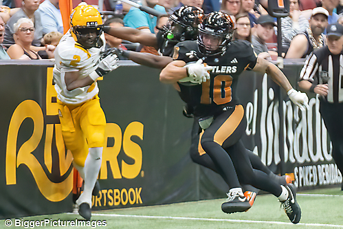 IMG_4317-denoise-denoise_1777329182_69efe41e56b7f