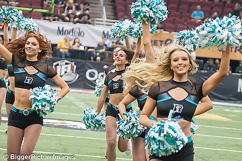 IMG_4370-denoise-denoise_1777329221_69efe445934ff