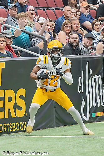 IMG_4392-denoise-denoise_1777329238_69efe45680d21