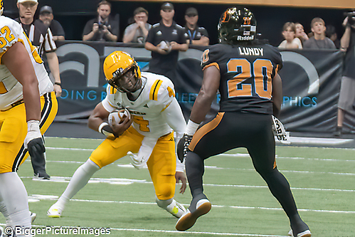 IMG_4419-denoise-denoise_1777329259_69efe46bebc36