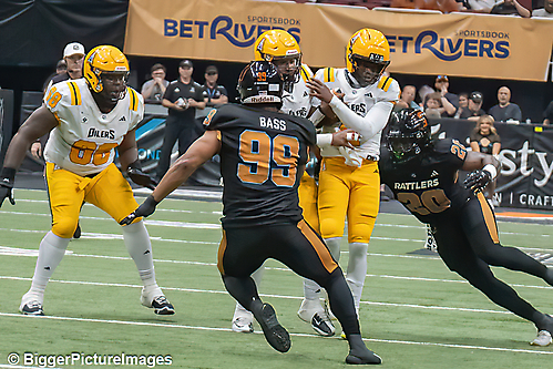 IMG_4434-denoise-denoise_1777329264_69efe470d97c9