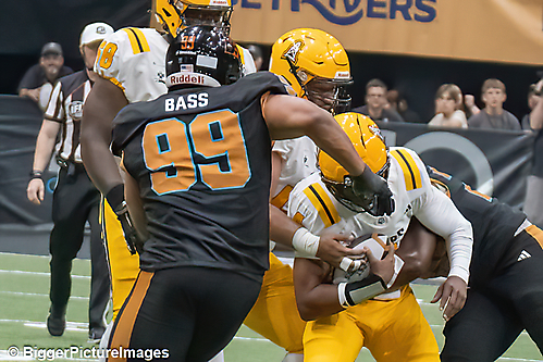 IMG_4437-denoise-denoise_1777329267_69efe473e7e50