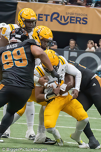 IMG_4438-denoise-denoise_1777329269_69efe475707b4