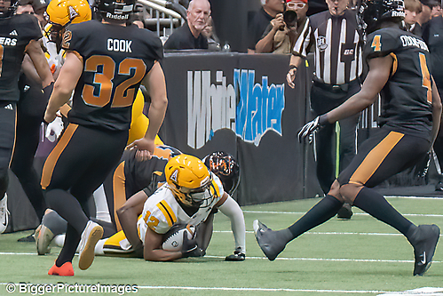 IMG_4463-denoise-denoise_1777329279_69efe47f4e5de