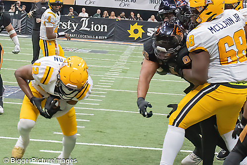 IMG_4471-denoise-denoise_1777329284_69efe484d30cd