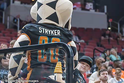 IMG_4480-denoise-denoise_1777329290_69efe48ad4d99