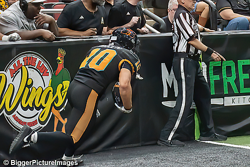 IMG_4488-denoise-denoise_1777329299_69efe493cf605