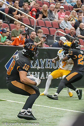 IMG_4495-denoise-denoise_1777329303_69efe497a6218