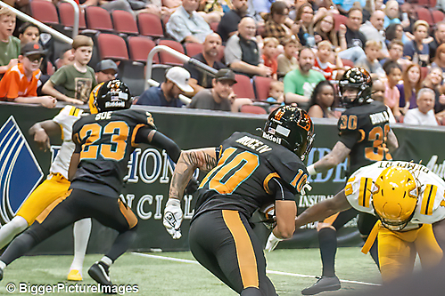 IMG_4498-denoise-denoise_1777329306_69efe49a1f674