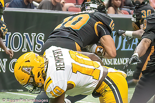 IMG_4500-denoise-denoise_1777329308_69efe49c71609