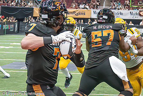 IMG_4503-denoise-denoise_1777329309_69efe49d75282