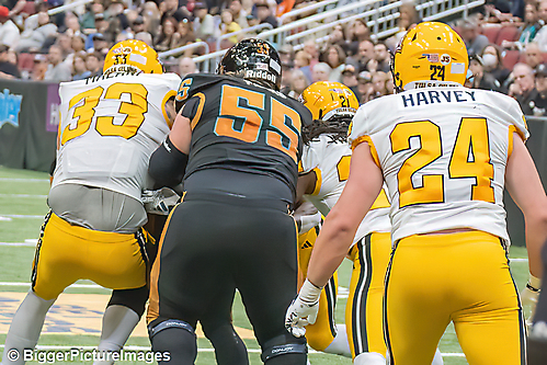 IMG_4518-denoise-denoise_1777329313_69efe4a12834d