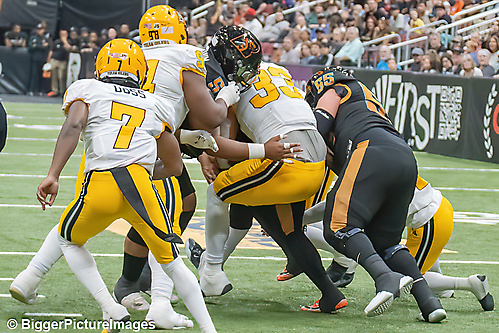 IMG_4523-denoise-denoise_1777329319_69efe4a74451d