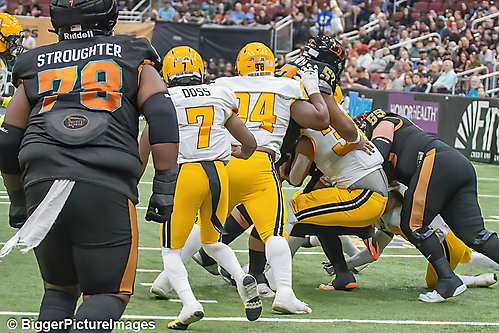 IMG_4525-denoise-denoise_1777329320_69efe4a8857be