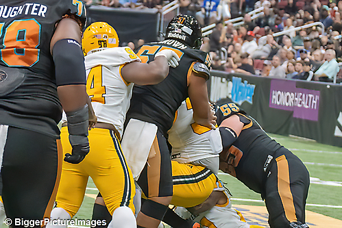 IMG_4527-denoise-denoise_1777329322_69efe4aa6dac3