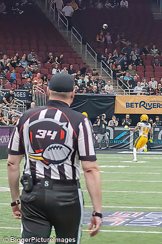 IMG_4545-denoise-denoise_1777329330_69efe4b27eeb8