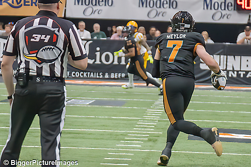 IMG_4554-denoise-denoise_1777329332_69efe4b406306