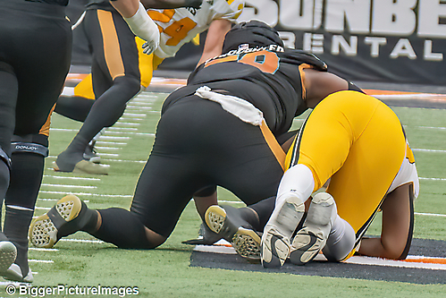 IMG_4567-denoise-denoise_1777329333_69efe4b54118c