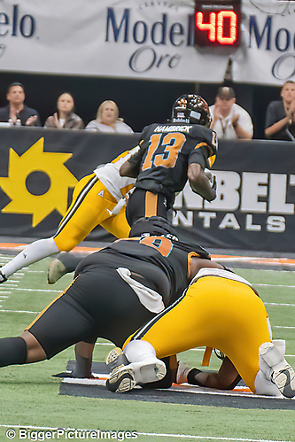 IMG_4569-denoise-denoise_1777329334_69efe4b694bcb