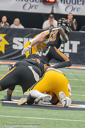 IMG_4570-denoise-denoise_1777329336_69efe4b883a37