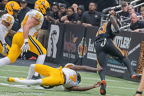 IMG_4575-denoise-denoise_1777329341_69efe4bd56f09