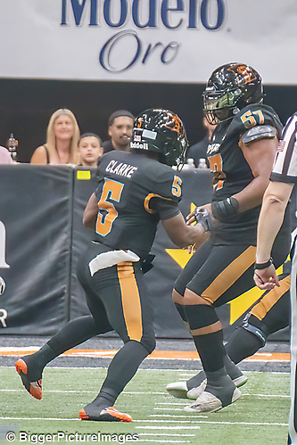 IMG_4581-denoise-denoise_1777329346_69efe4c20298b