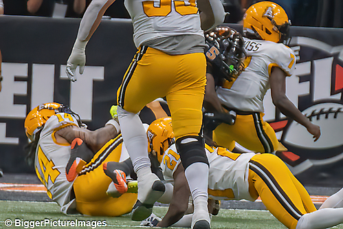 IMG_4599-denoise-denoise_1777329356_69efe4cc1bece