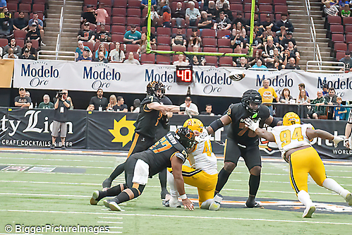 IMG_4623-denoise-denoise_1777329373_69efe4dd39500