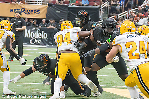 IMG_4631-denoise-denoise_1777329381_69efe4e5dbe92