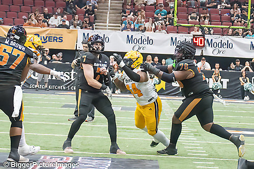 IMG_4640-denoise-denoise_1777329396_69efe4f4aae84