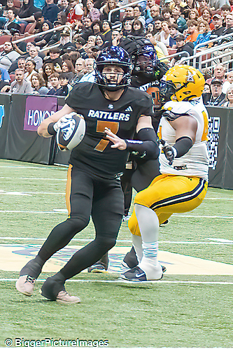 IMG_4666-denoise-denoise_1777329414_69efe506544cd