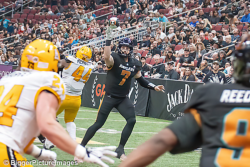 IMG_4669-denoise-denoise_1777329416_69efe508dbea0