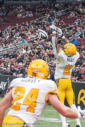 IMG_4671-denoise-denoise_1777329421_69efe50dd7897