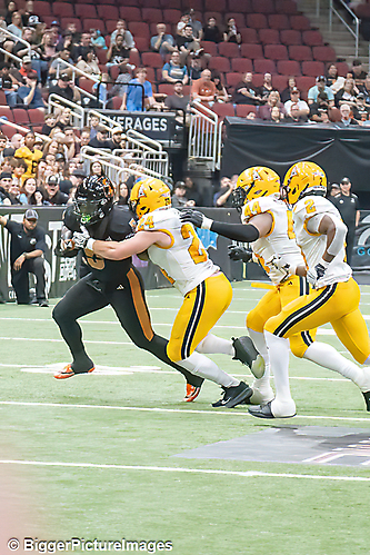 IMG_4687-denoise-denoise_1777329426_69efe512ae3aa