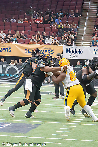 IMG_4695-denoise-denoise_1777329432_69efe518a850f