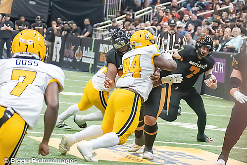 IMG_4698-denoise-denoise_1777329435_69efe51b199d3