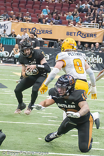 IMG_4700-denoise-denoise_1777329439_69efe51fcadd2