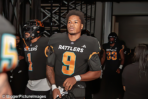 IMG_8833-denoise-denoise_1777329446_69efe5260d4da