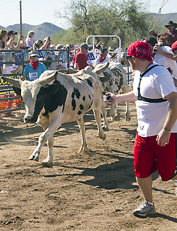 IMG_0089 LR