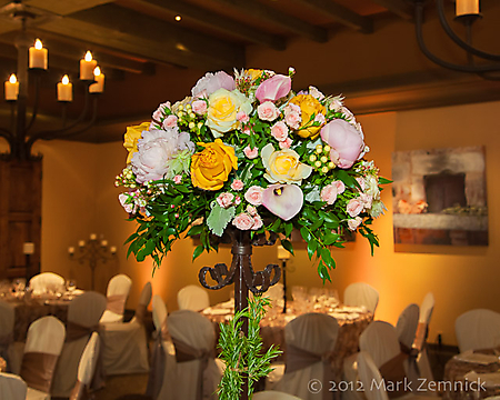 005_Copyright © 2012 Mark Zemnick_IMG_4773