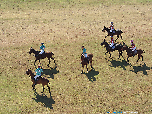 Sunday Polo 21
