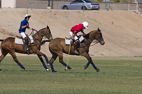 IMG_6633 LR