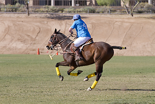 IMG_6754 LR
