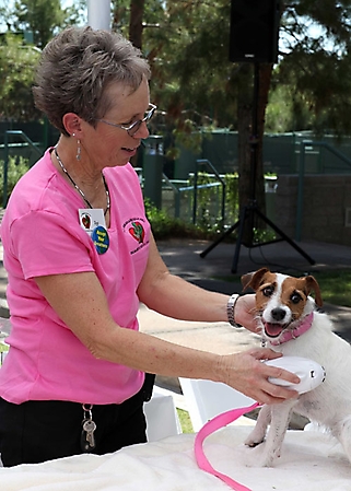 spaw-day-scottsdale-2009_08