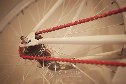 Stephanies-LizEStudio-0058