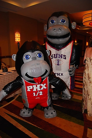 suns-and-stars-gala-phoenix-2010_11